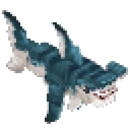 Hammerhead Shark