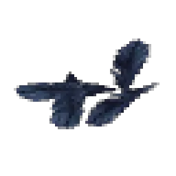 Dark Feathers