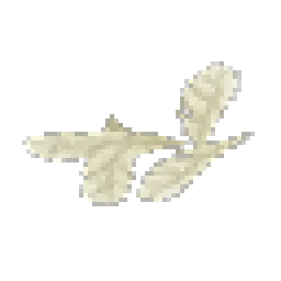 White Feathers