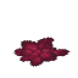 Dark Hide