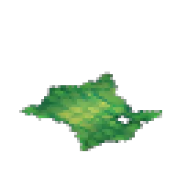 Scaled Hide