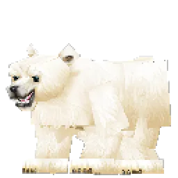 Bear Polar