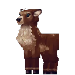 Deer Doe