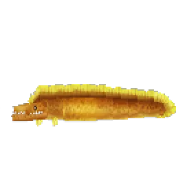 Eel Electric