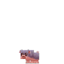 Pig Wild Piglet