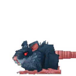 Rat