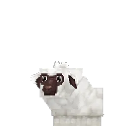 Sheep Lamb