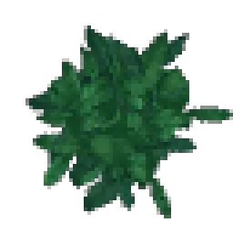 Ash Leaves