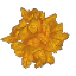 Aspen Leaves