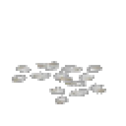 Mature Cotton