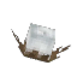 Cotton