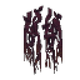 Amber Roots