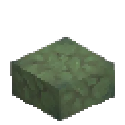 Stormbark Log - Half Slab